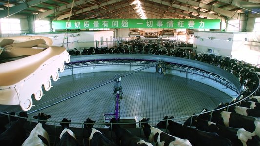 Das System Milch