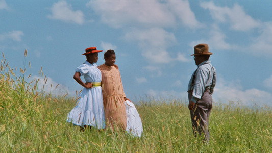 The Color Purple