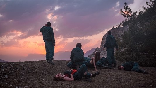 Стая