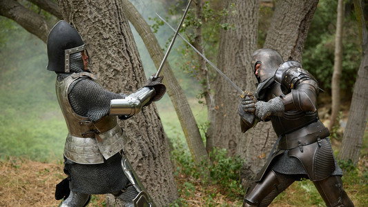 Immortal Combat