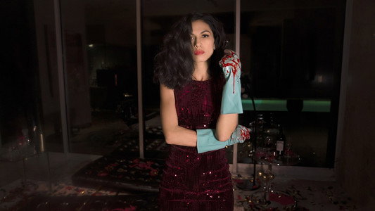 The Cleaning Lady
