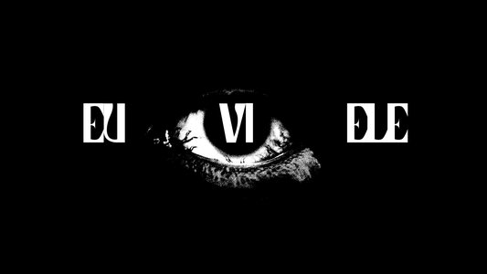 Eu Vi Ele