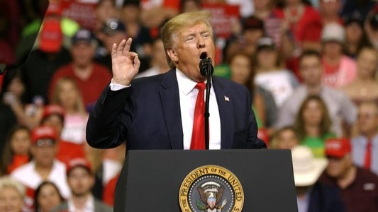 Im Wahn - Trump und die Amerikanische Katastrophe