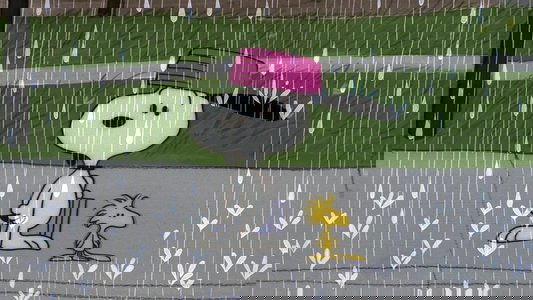 Snoopy, Come Home