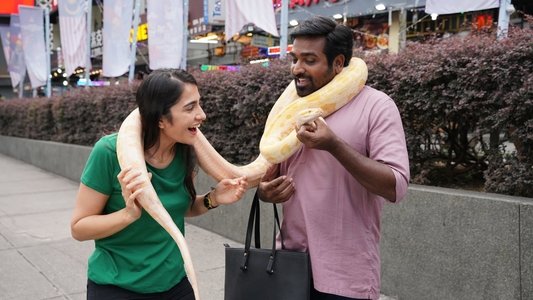 ஏஸ்
