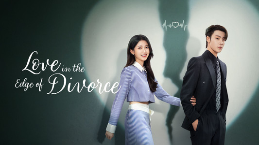 爱在离婚进行时