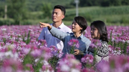 鲜花盛开的山村