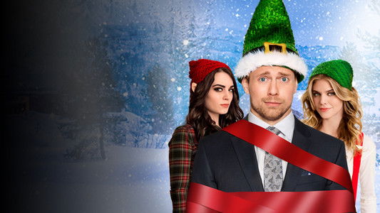 Santa's Little Helper