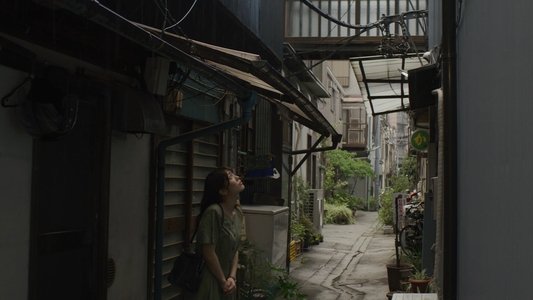 献辞