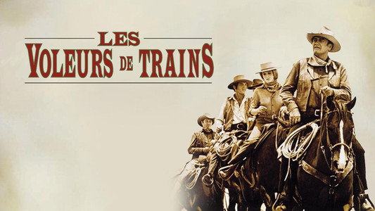 The Train Robbers