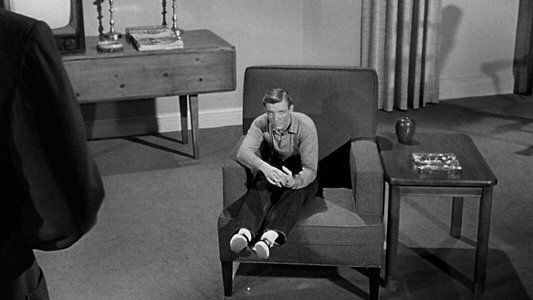 The Incredible Shrinking Man