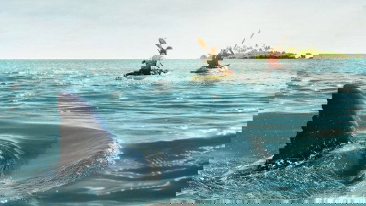 The Reef: Stalked