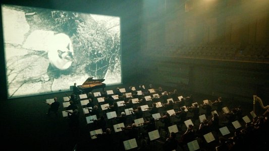 Ravel en mille éclats