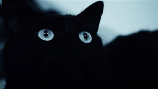 Alice was my name