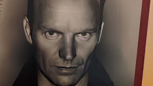 Sting ‎– Fields Of Gold - The Best Of Sting