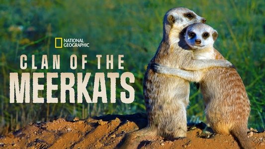 Clan of the Meerkat