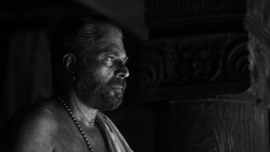 ഭ്രമയുഗം