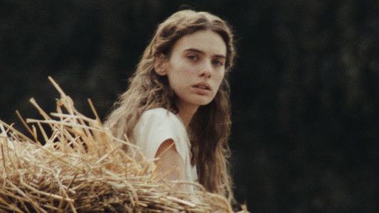 In die Sonne schauen