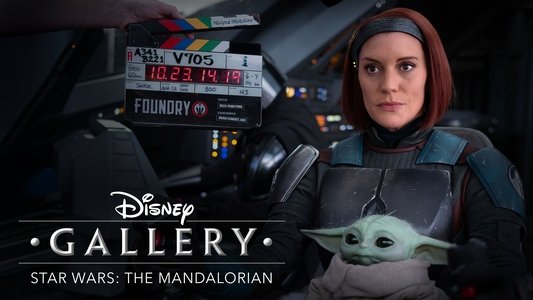 Disney Gallery / Star Wars: The Mandalorian