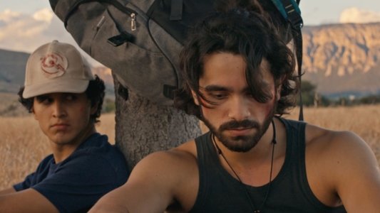 Una Historia de Ovejas y Luciérnagas