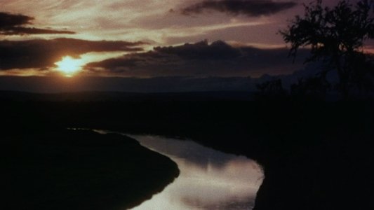 Mogambo