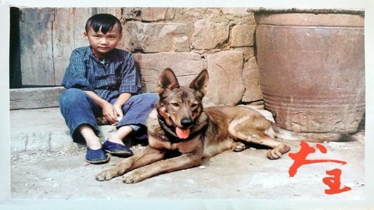 犬王