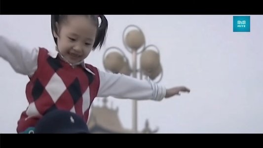 Төрийн дайсан
