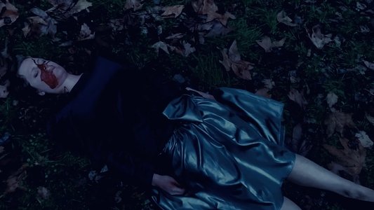Queen of Hearts: A Twin Peaks Fan Film