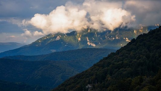 România neîmblânzită