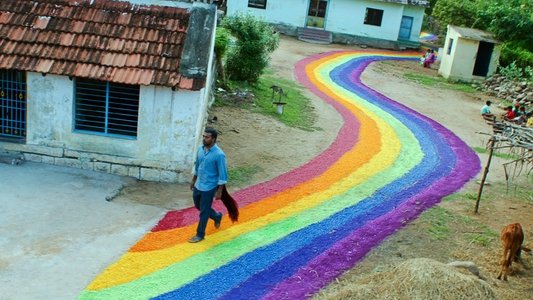 குதிரைவால்