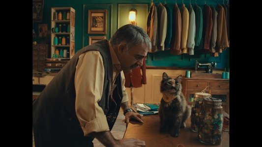 از اینجا باز شود