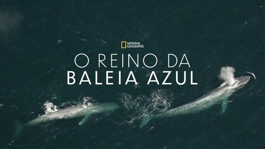 Kingdom of the Blue Whale