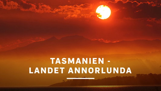 David Attenborough's Tasmania