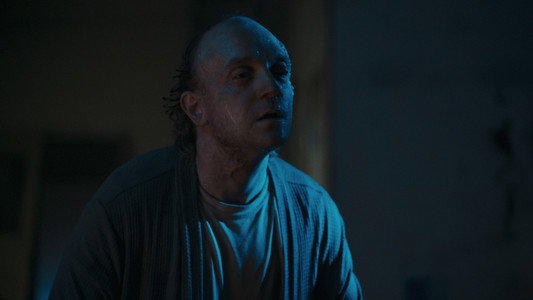 FESTER