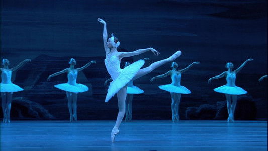 Tchaikovsky - Swan Lake (The Bolshoi Ballet Collection)