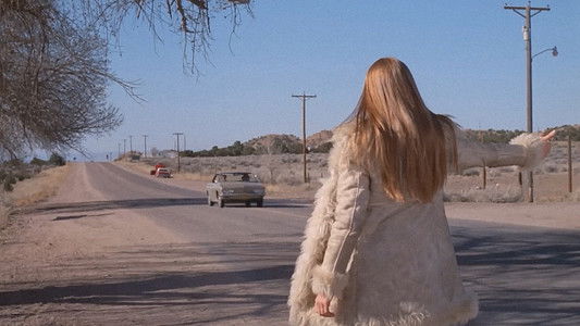 Ginger in the Morning