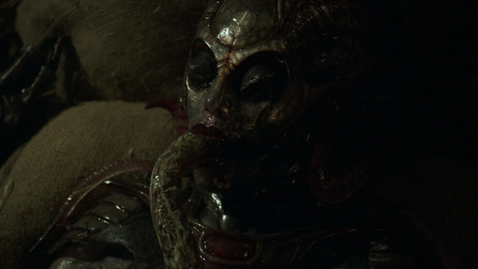 Species II