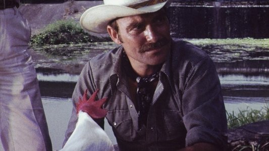 Supercock