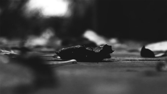 The pulse of everything from where we arose and departed