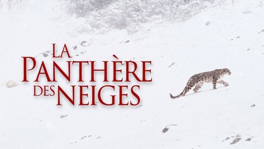 La Panthère des neiges
