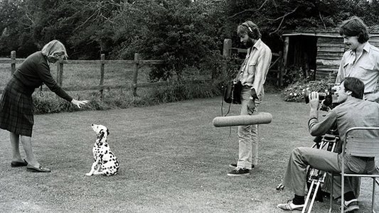 Training Dogs the Woodhouse Way