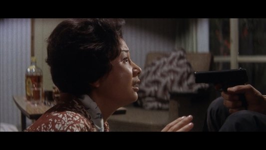 野獣の青春