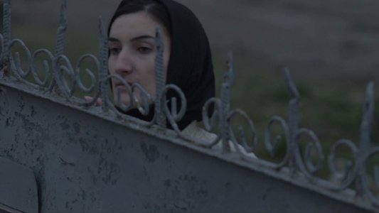 Легкая вина