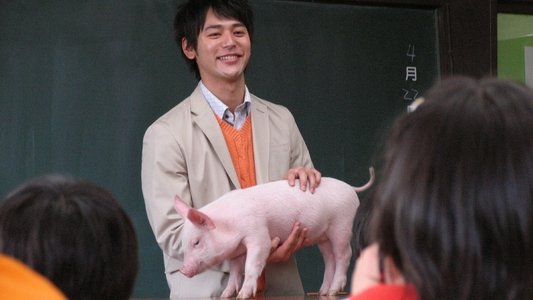 ブタがいた教室