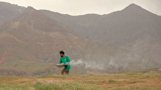 درون امیر