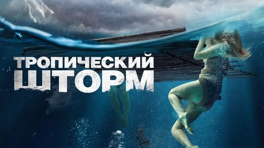 The Requin