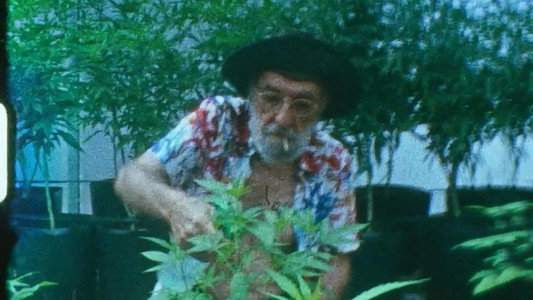 Conserva