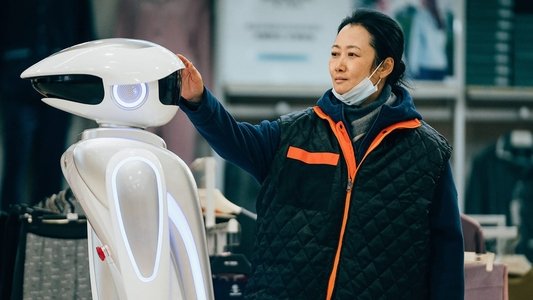 风流一代