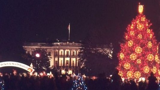 The National Christmas Tree, A Century of Celebration