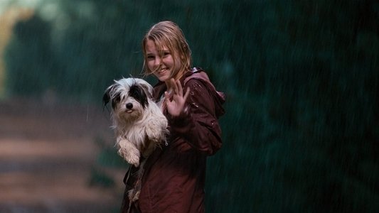 Bridge to Terabithia